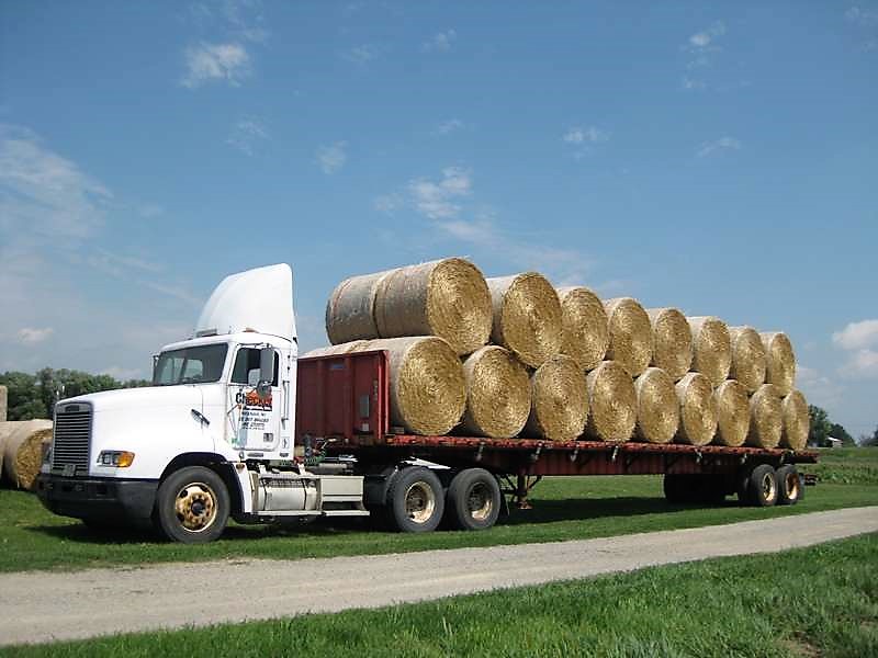 Shedd: We need to implement a hay transportation program now Courtesy of newagtalk.com