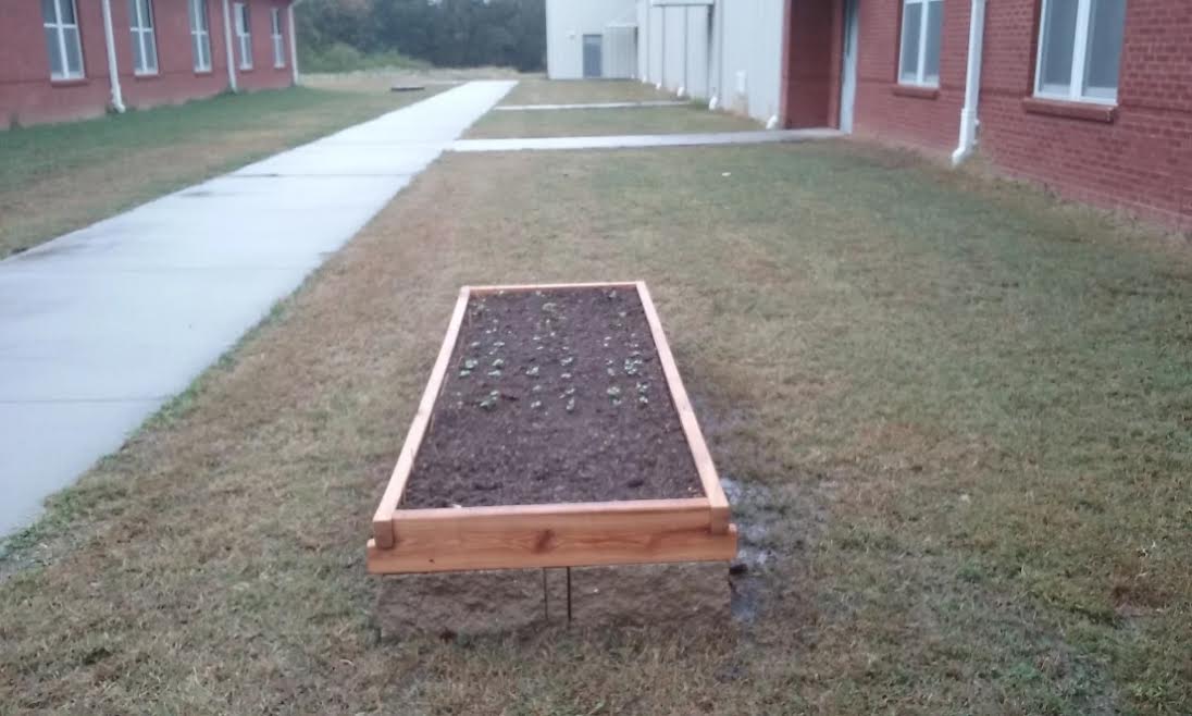 Harmony School takes class outside for hands-on science Lea Scott