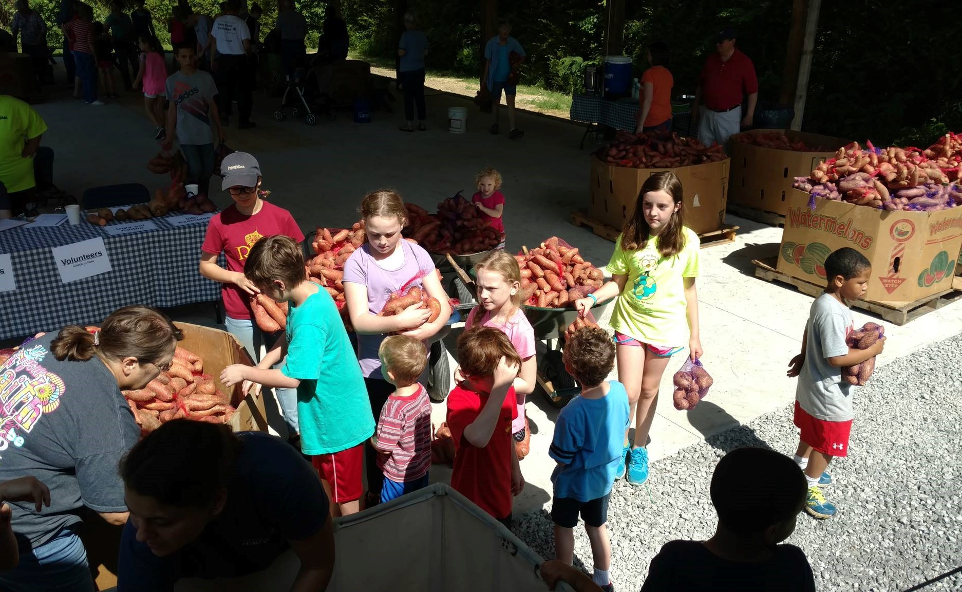 Sweet Potato Drop happening at the Agriplex Saturday North Alabama Agriplex