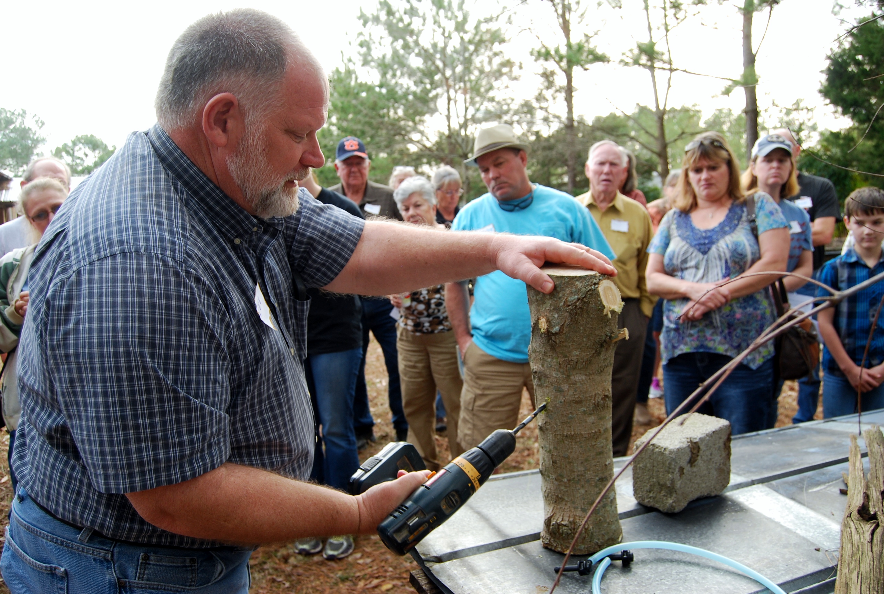 New homesteaders group aims to ‘reconnect and reskill’ Loretta Gillespie
