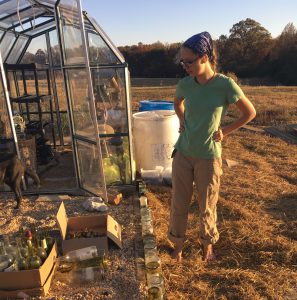 Laura Willingham Walker