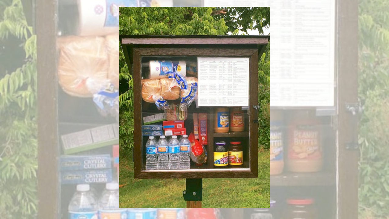 Little Free Pantry coming to Cullman Little Free Pantry on Facebook