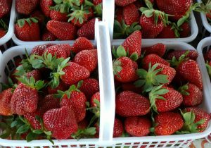 Amy Hasenbein Leonard