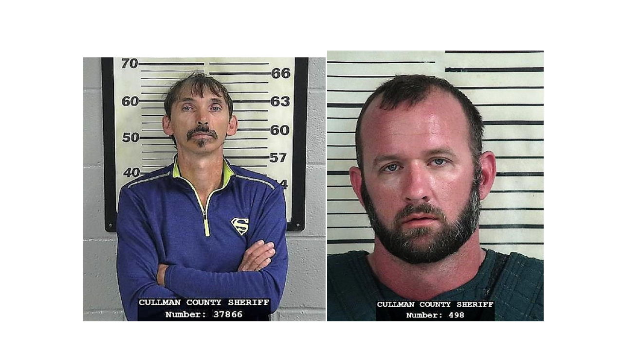 2 arrested for multiple sex offenses CCSO