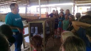 North Alabama Agriplex