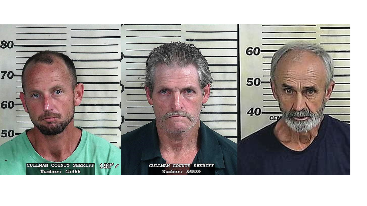 3 Jones Chapel men arrested, 2 for meth trafficking CCSO