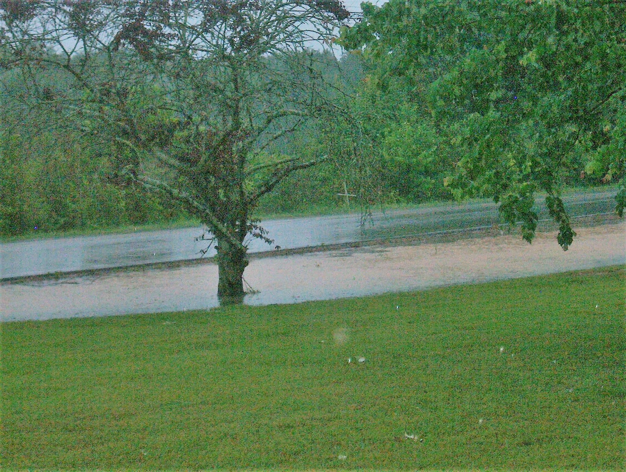 Citizen alleges deficiencies in road management in Dodge City