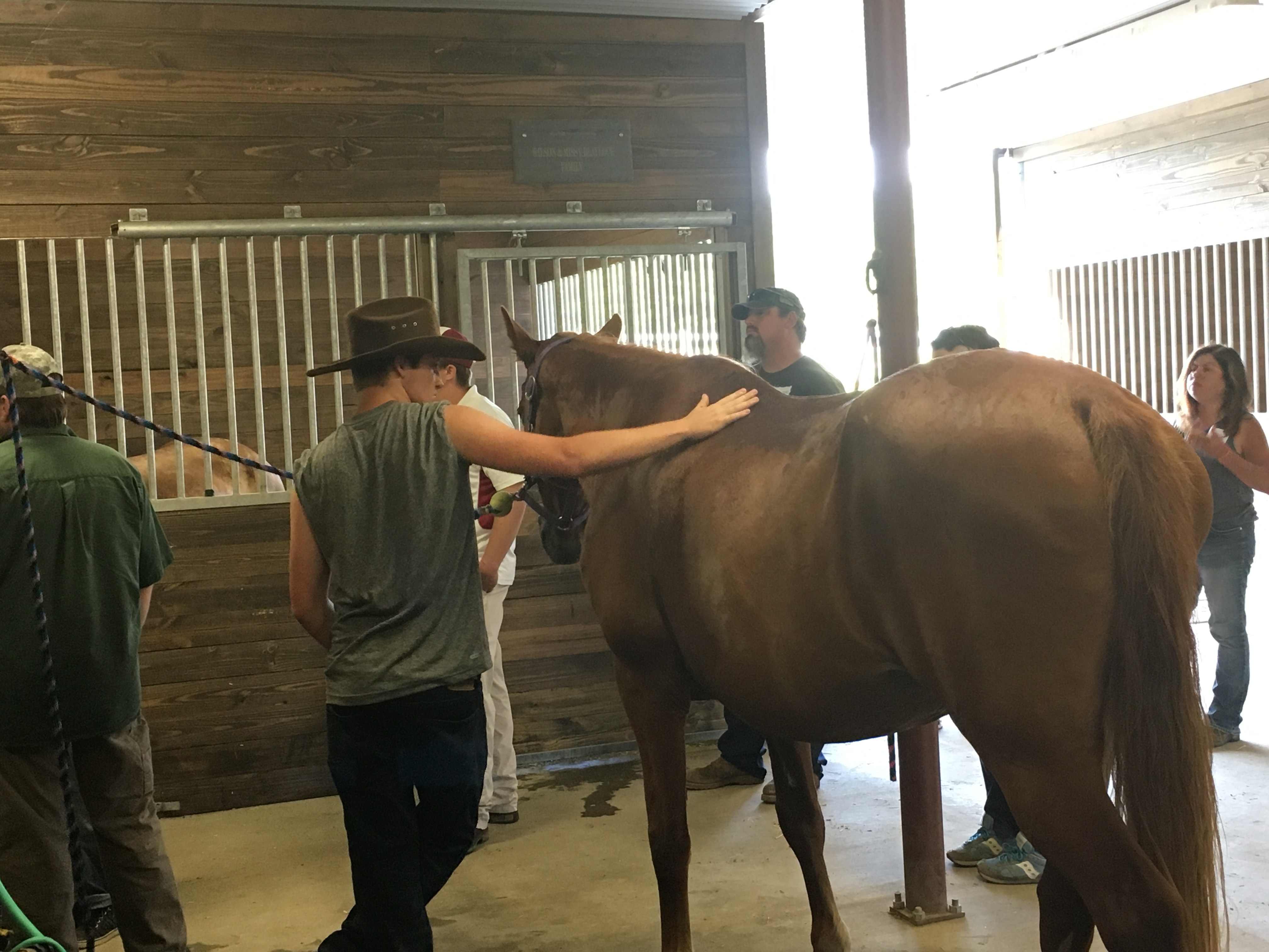 Veterans focus of Hope Horses for Heroes program
