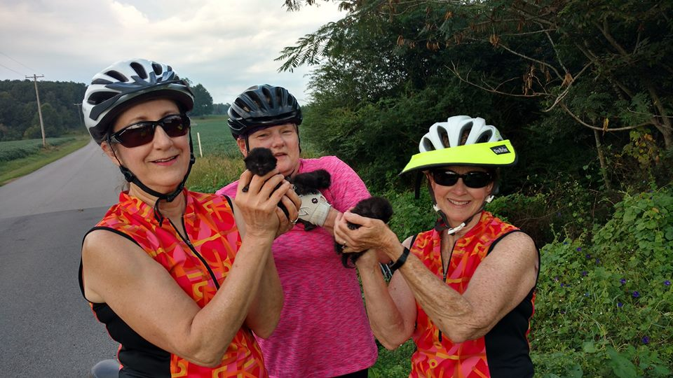 Bicyclists find sack of kittens abandoned near Good Hope