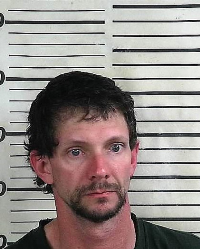 Vinemont man arrested for distributing meth