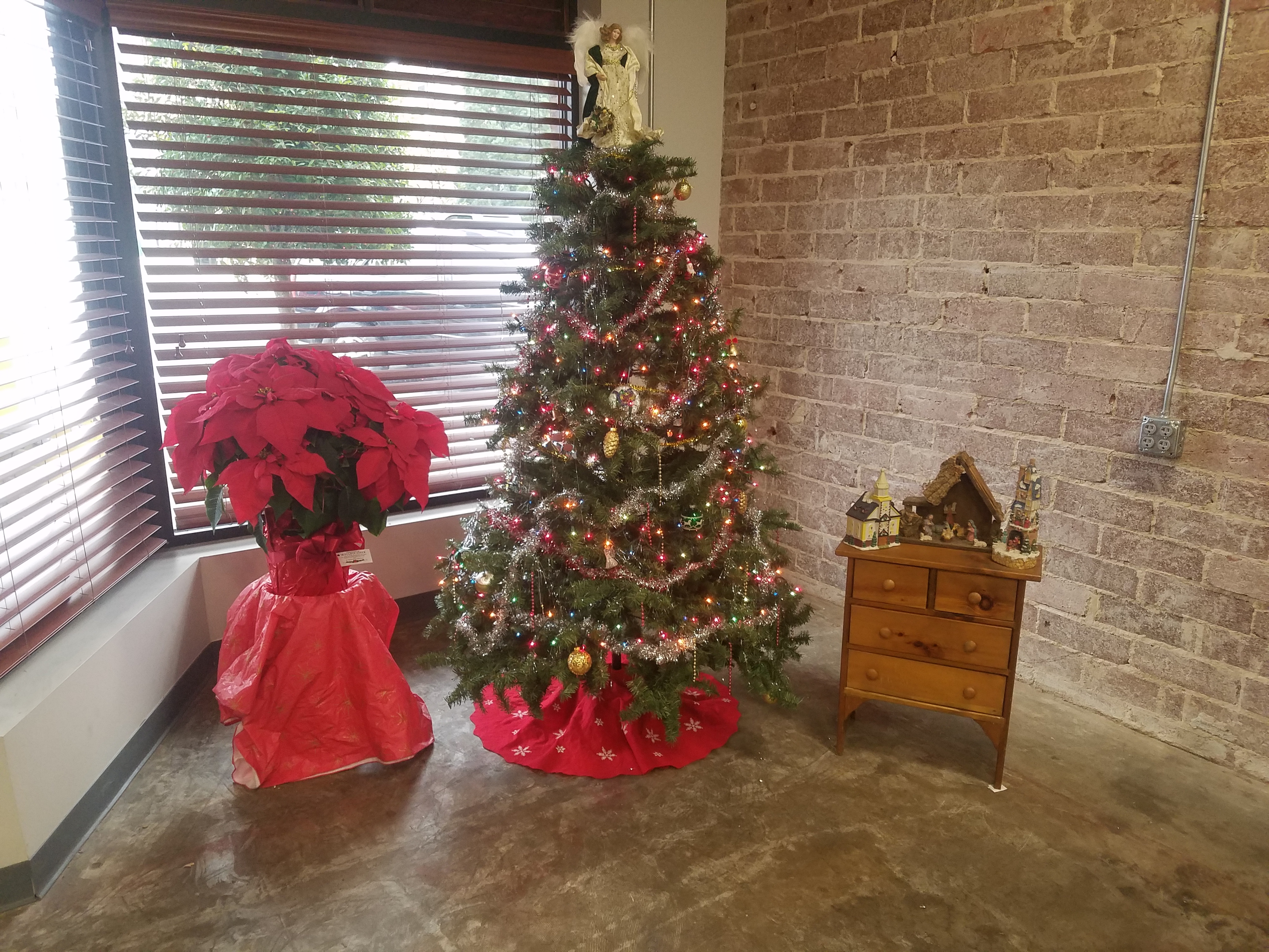 Giving back to our 4-legged friends