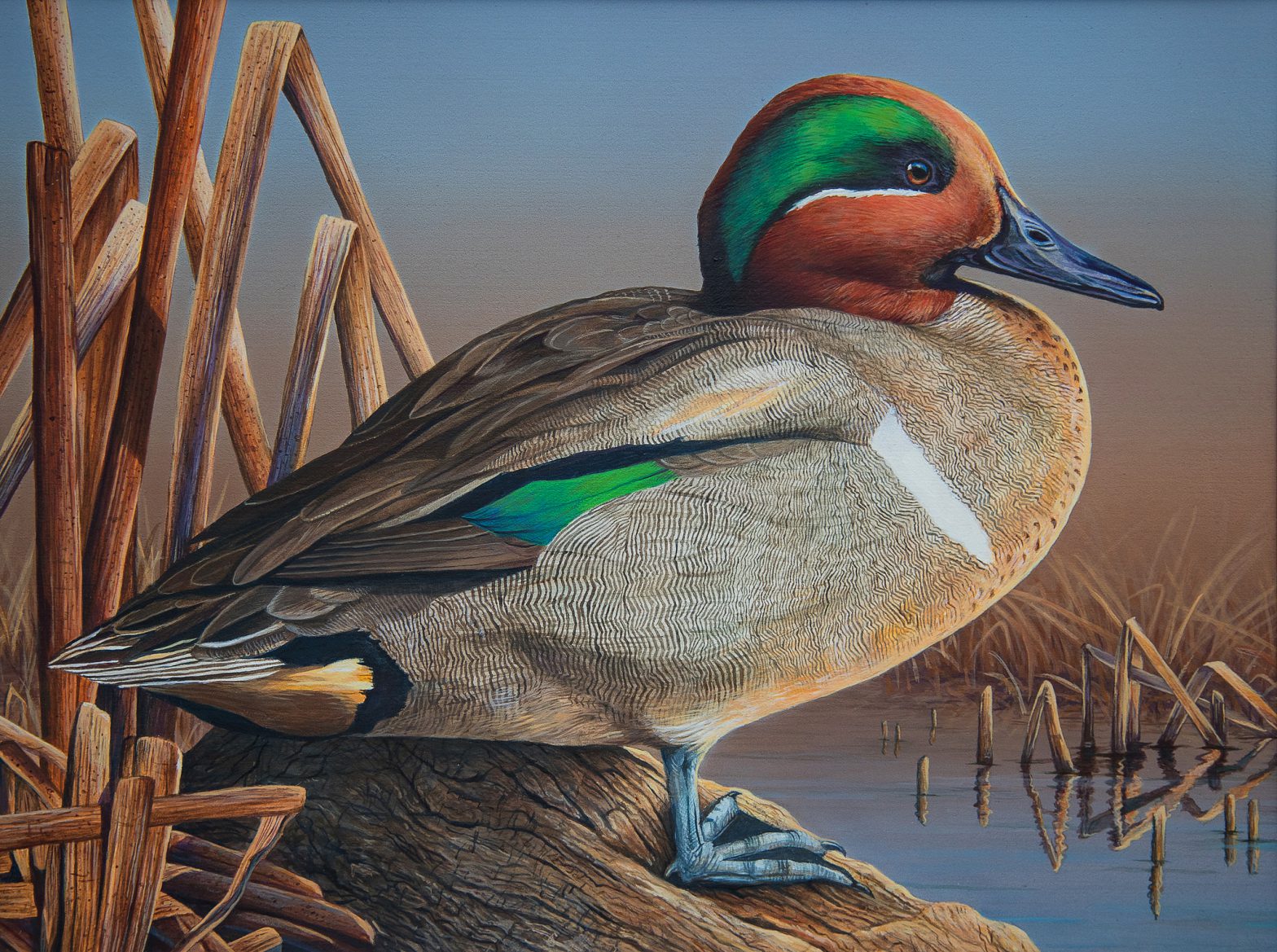 2018 Alabama Waterfowl Stamp art contest opens Dec. 11 The Cullman