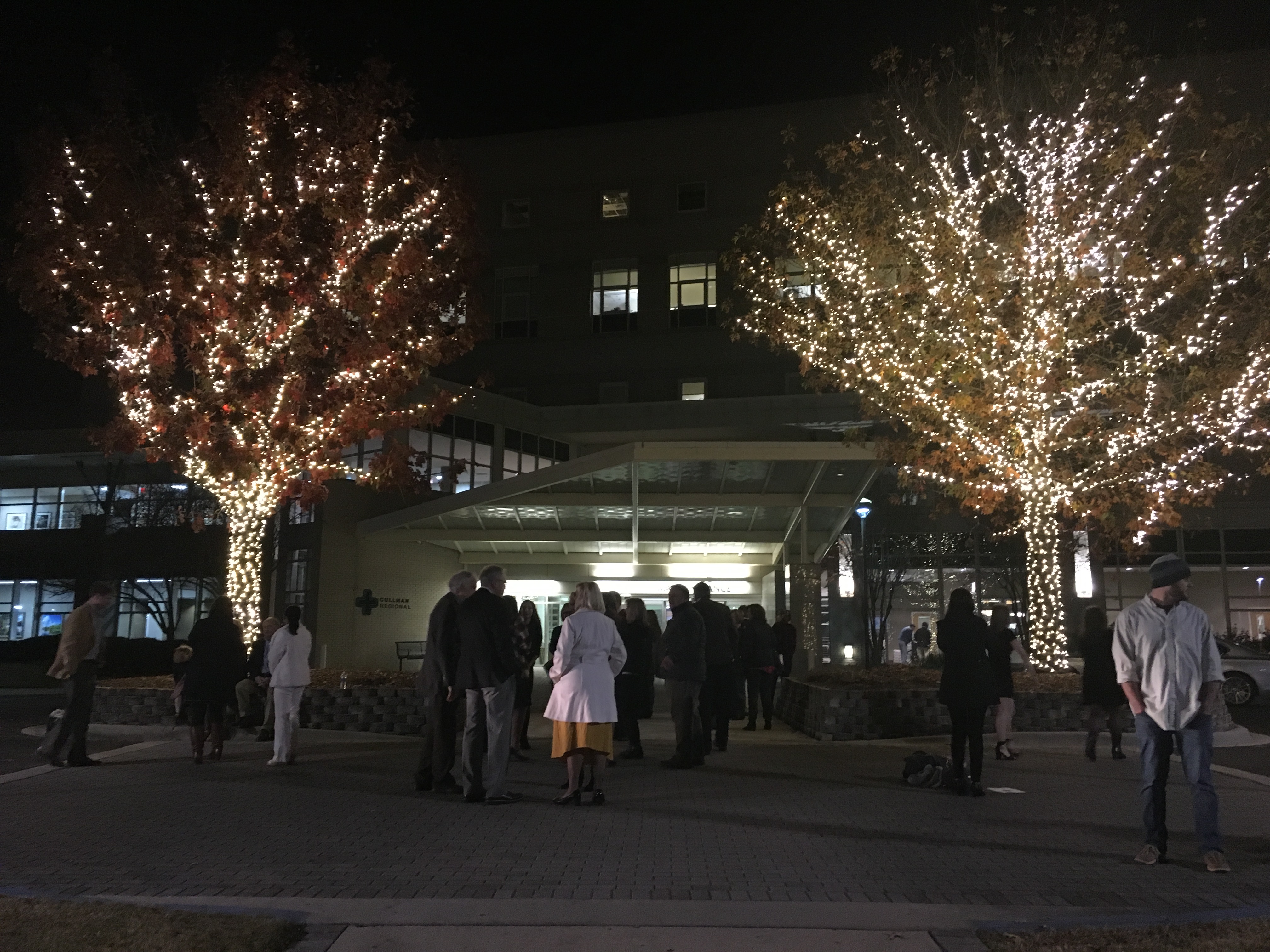 Annual Lights of Love event sets Cullman Regional aglow