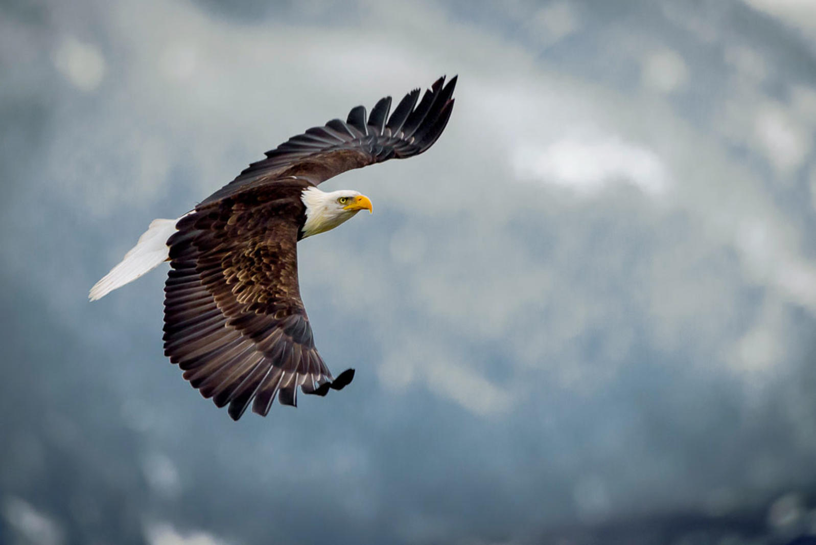 For the birds! pasted_image_0.png