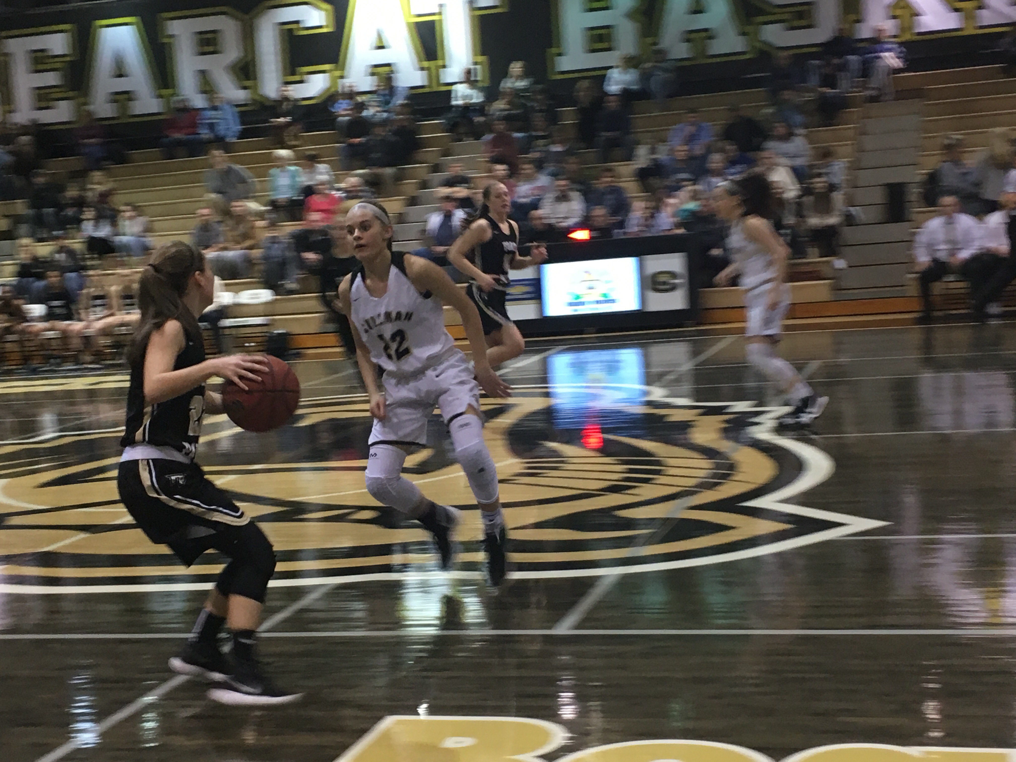 PREP BASKETBALL: Bearcats handle Fort Payne, 92-79; Lady ‘Cats outlast Lady Wildcats, 58-53; JV squads split, 9th-grade ‘Cats win img_7001.jpg