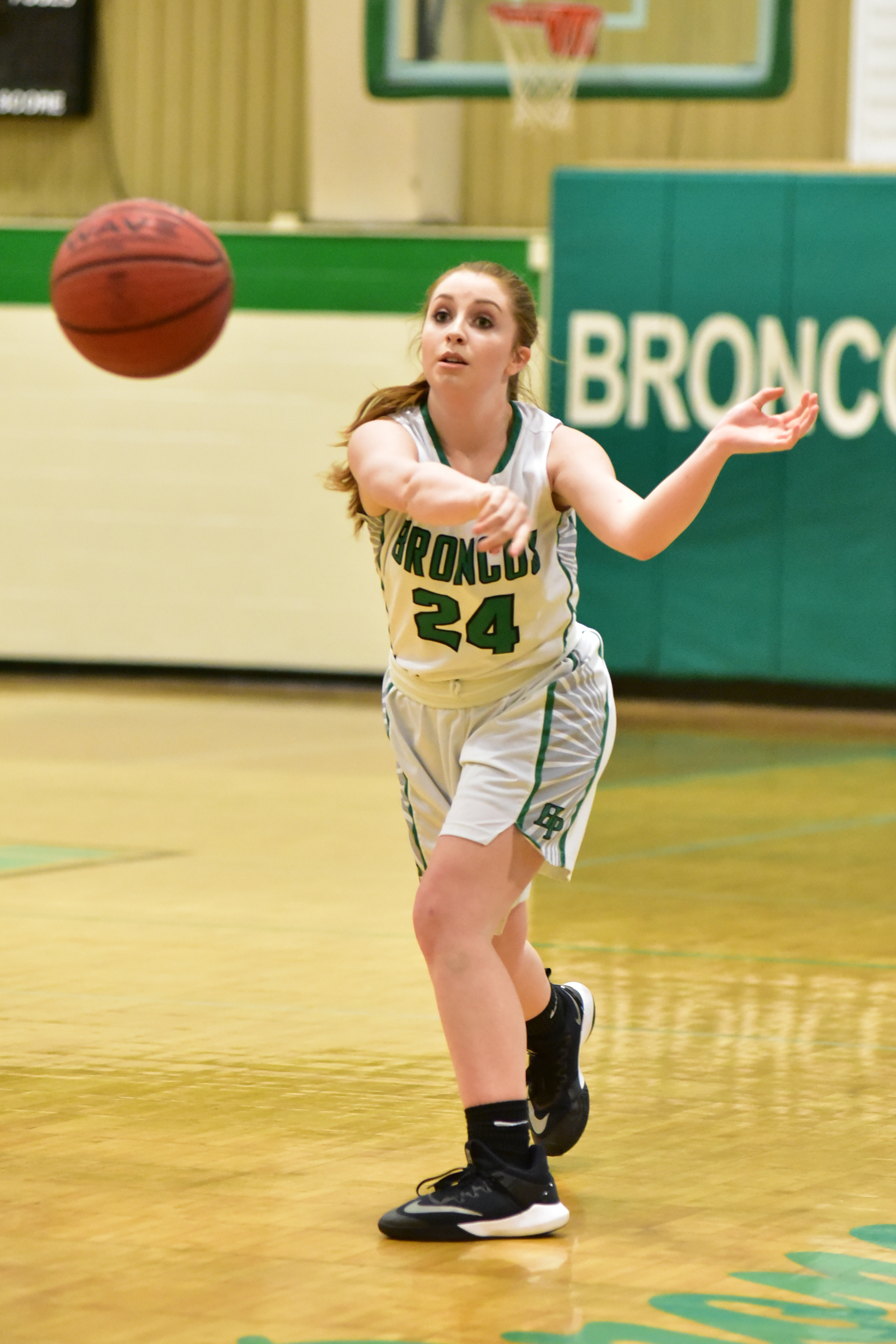 PREP BASKETBALL: Area tournament schedule dsc_4057.jpg