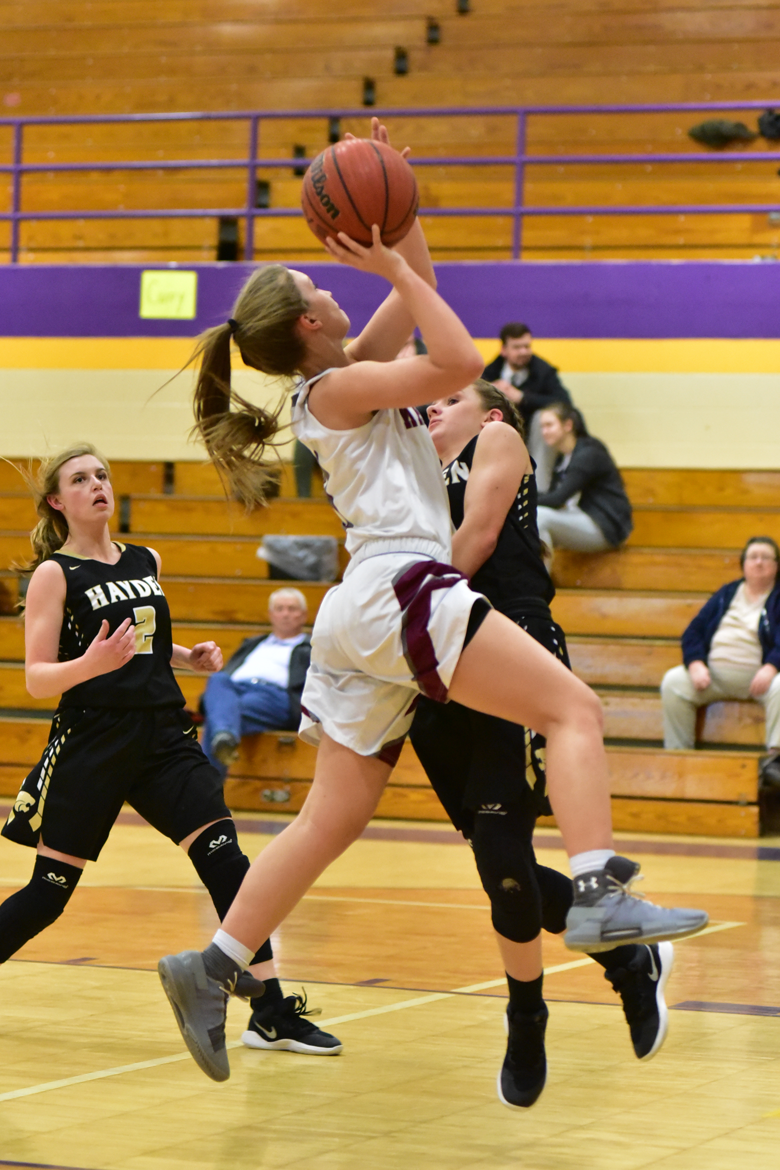 AREA TOURNAMENT: Lady Aggies, Lady Warriors cruise to easy wins, setting up championship rematch; scoring roundup