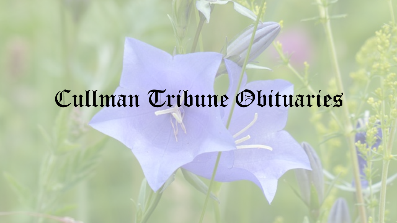 Obituary: Jimmy Dale Panter slide1.png