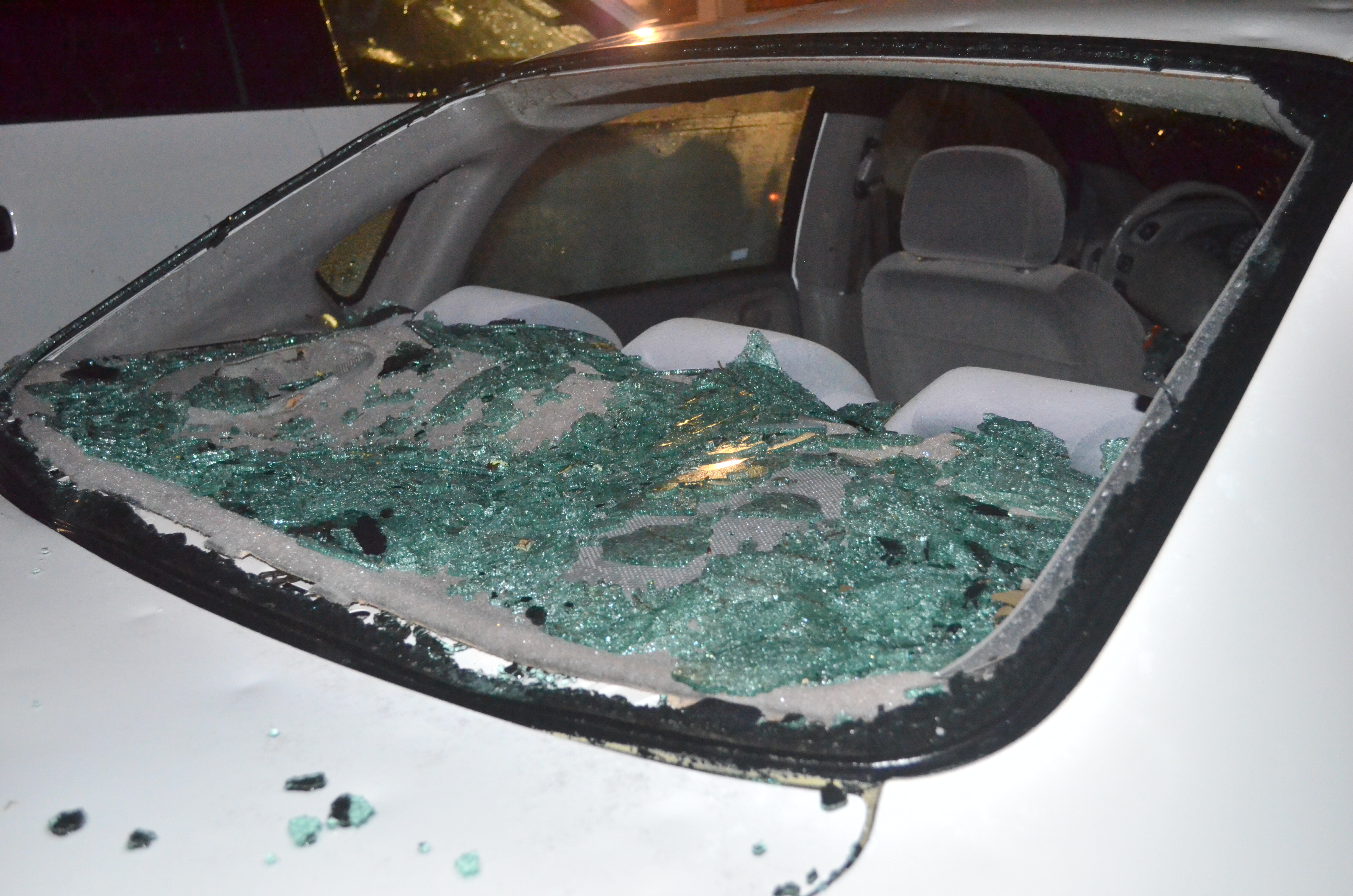 AL Department of Revenue: 2-month tax filing extension for storm-affected individuals and businesses csc_0397.jpg