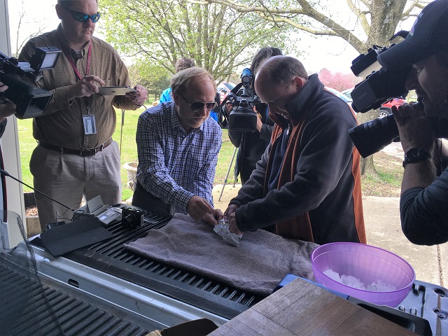 NWS Huntsville: March 19 hail storm of historical magnitude img_0613_tw.jpg