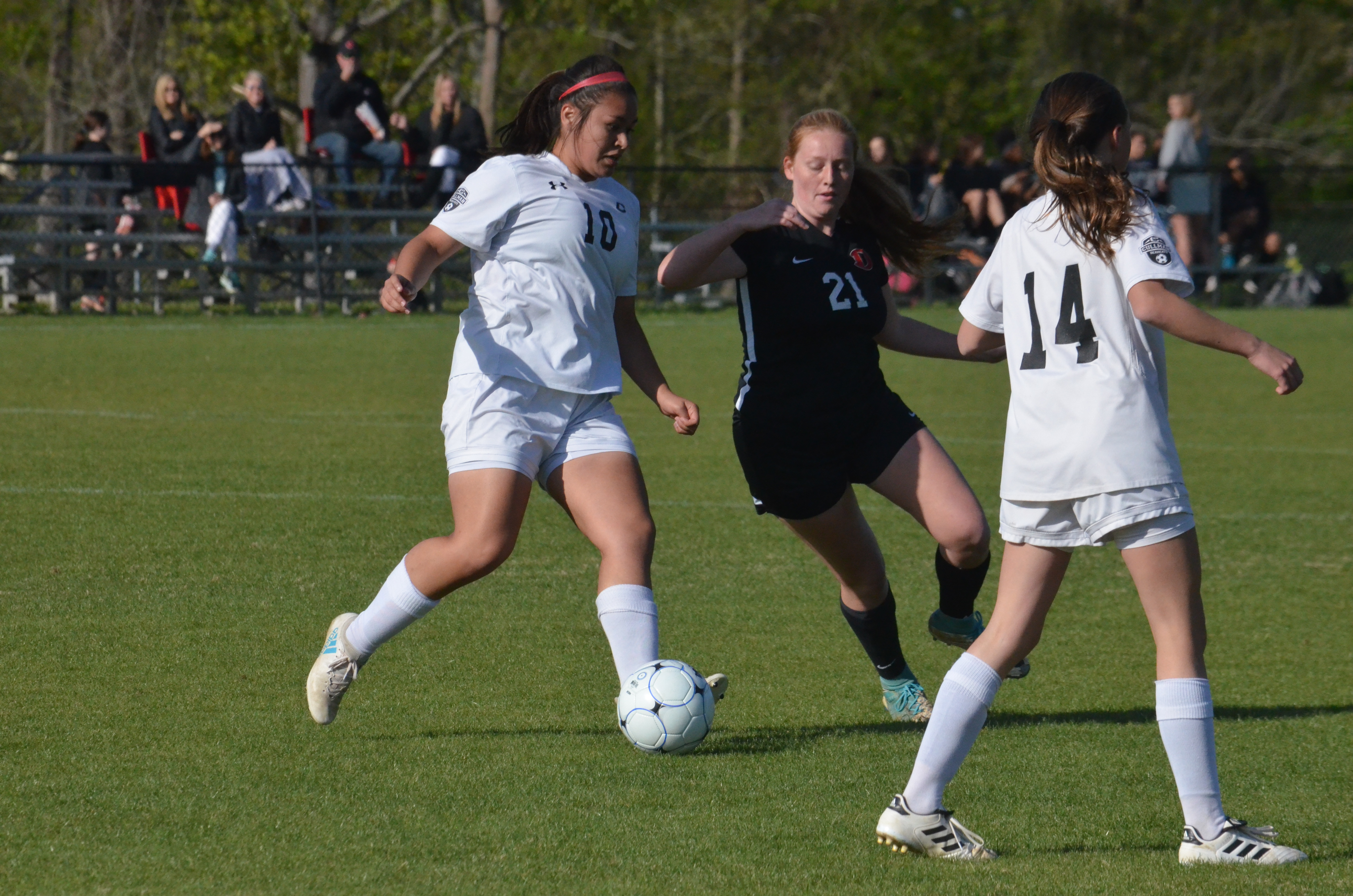 PREP SPORTS: Lady Bearcats drop final regular season soccer game 5-1; Cold Springs softball bests Falkville 4-3; Thursday scoring roundup dsc_0697.jpg
