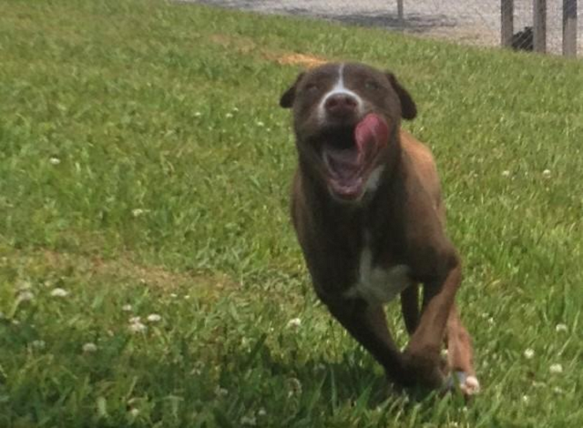 PET OF THE WEEK: Help Melody sing a happy song pasted_image_2.png