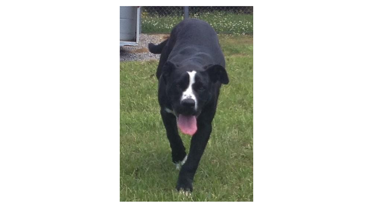 slide1.png slide1.png