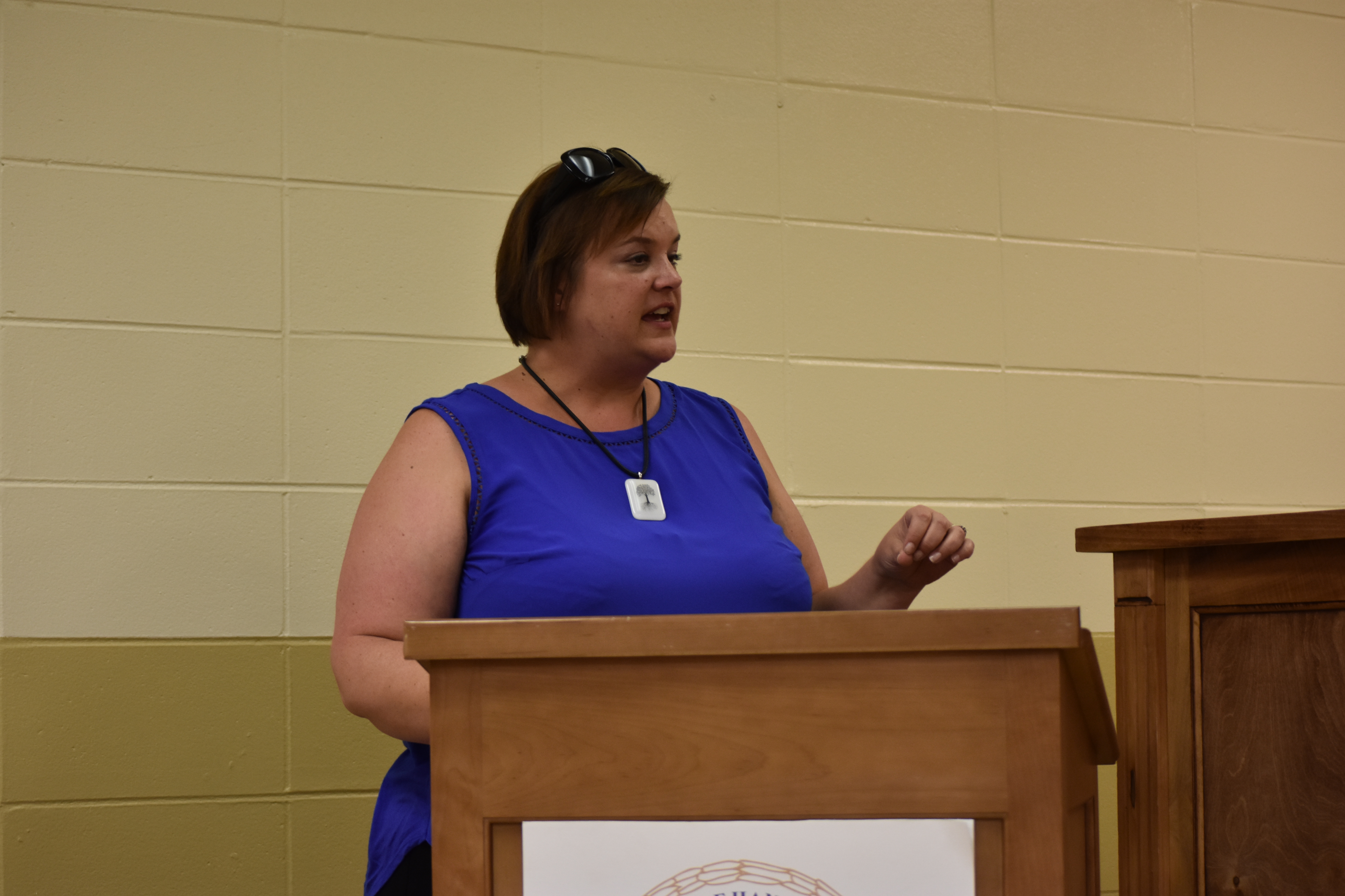 Hanceville Council talks solar energy, community improvement projects dsc_4491.jpg