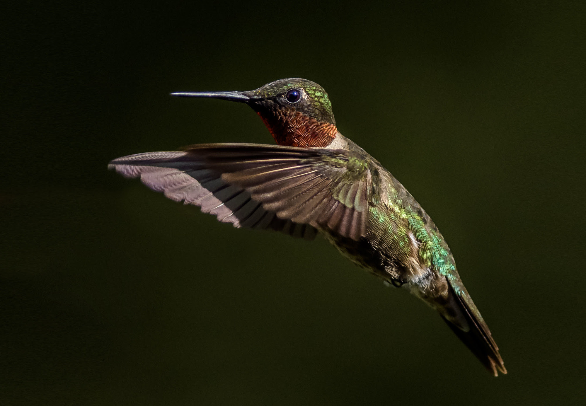 Outdoor Alabama photo contest now open unnamed.jpg