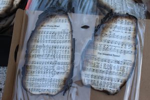 Christy Perry for The Cullman Tribune