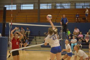 Nick Griffin for The Cullman Tribune