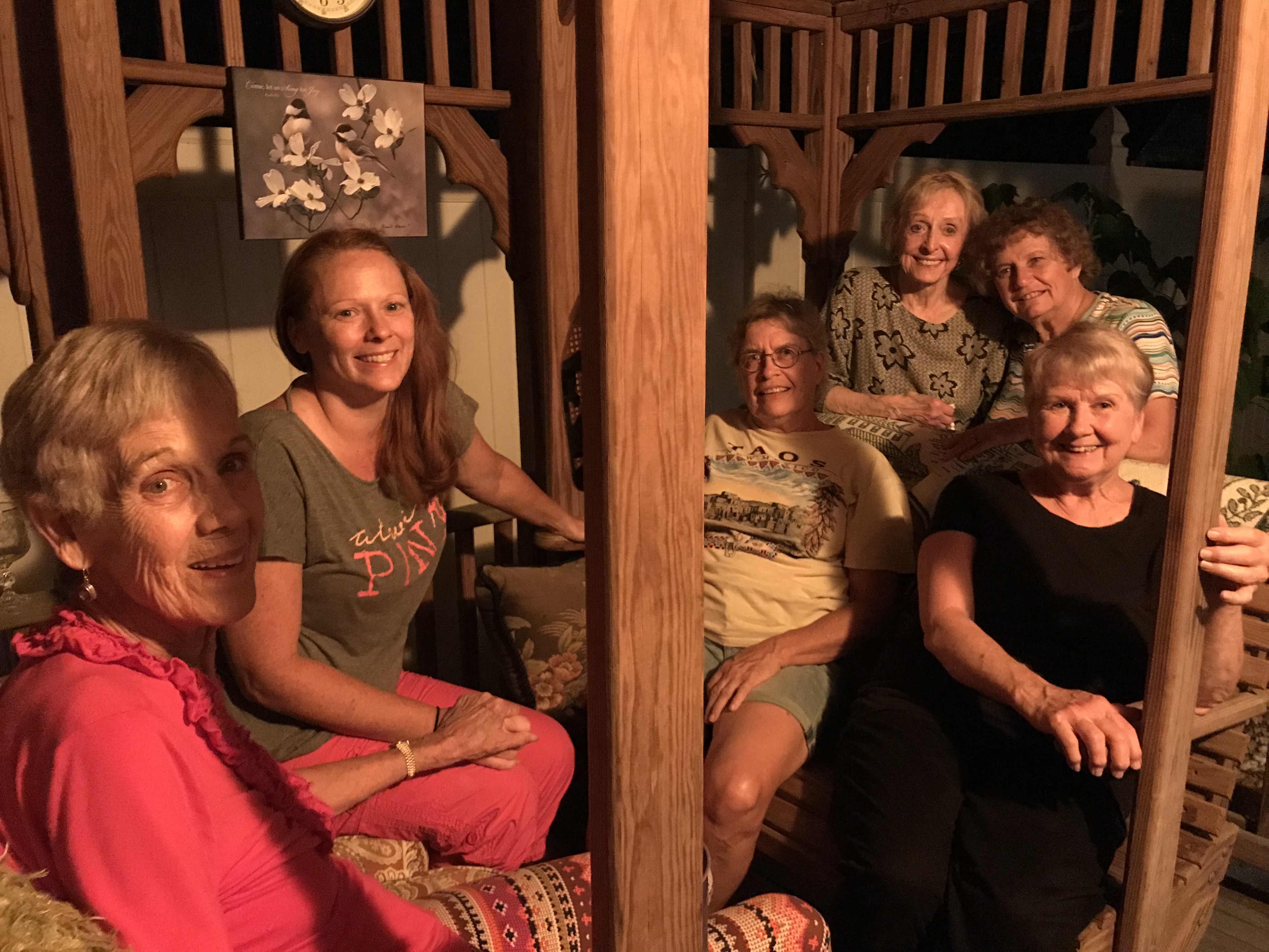 Meet the Golden Dixie Chicks Christy Perry for The Cullman Tribune