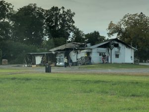 Photo courtesy of Nick Lee