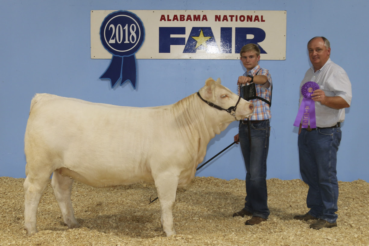 4 Cullman County youth bring home awards from Alabama National Fair Livestock Show austin_alexander.jpg