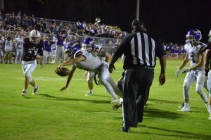 Gary McGriff for The Cullman Tribune