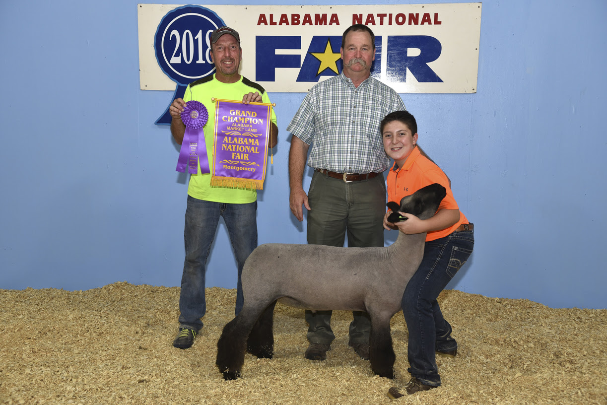 Cullman youth bring home awards from Alabama National Fair Livestock Show Alfa Farmers