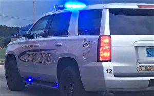 Cullman Tribune file photo