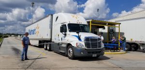 Maggie Darnell for The Cullman Tribune