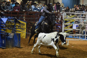 rodeo.png
