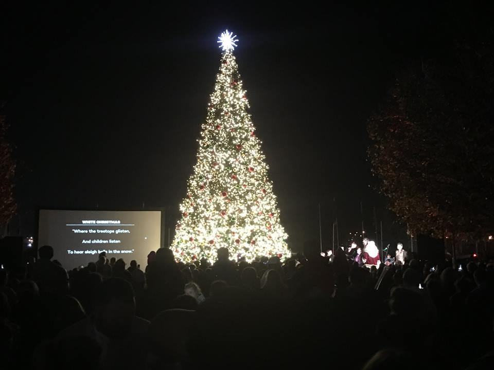 Cullman Tribune file photo