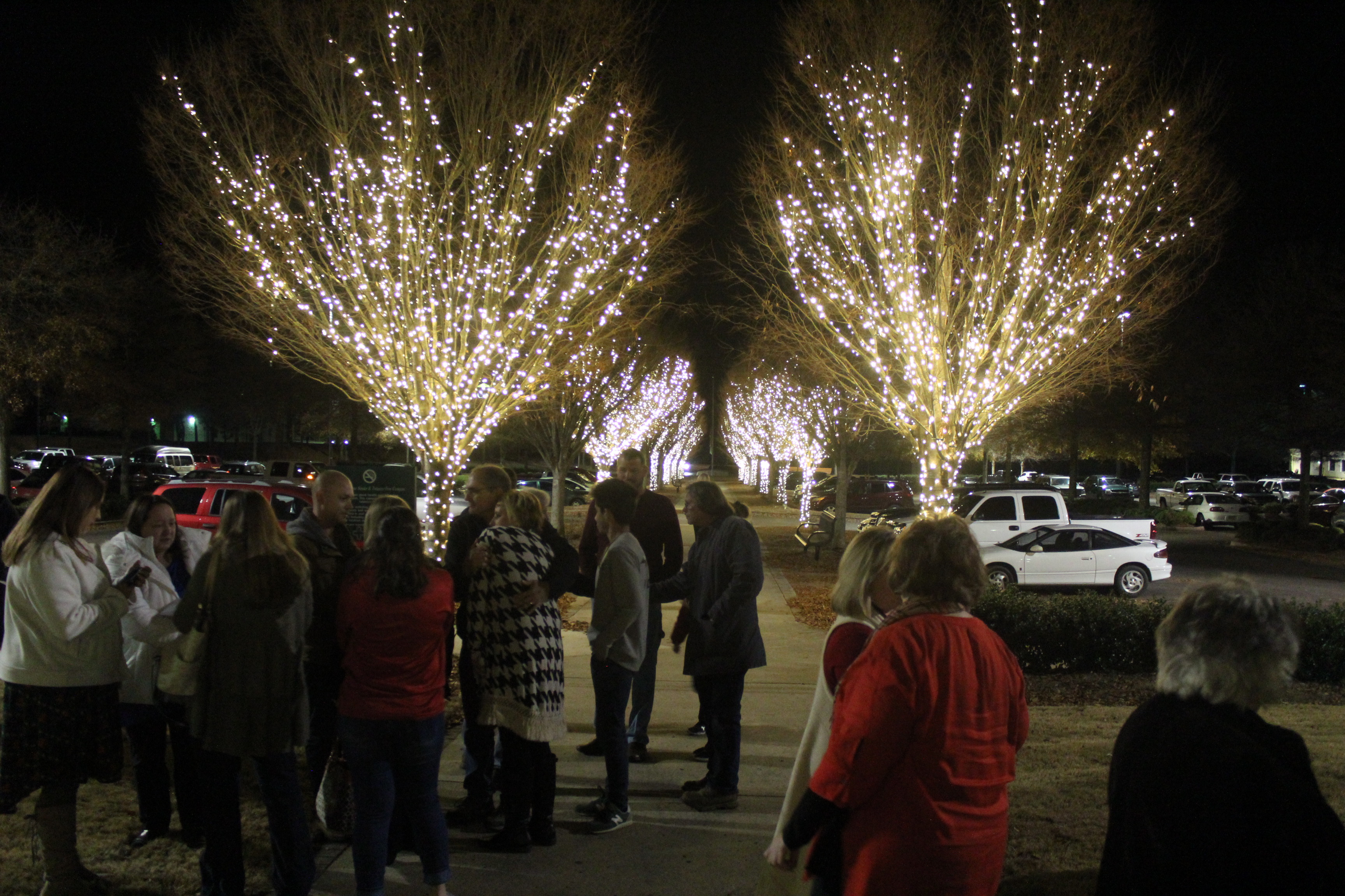 Cullman Regional’s Lights of Love held, honoring Dr. Robert Echols main.jpg