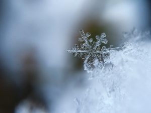 snowflake-1245748_1920.jpg
