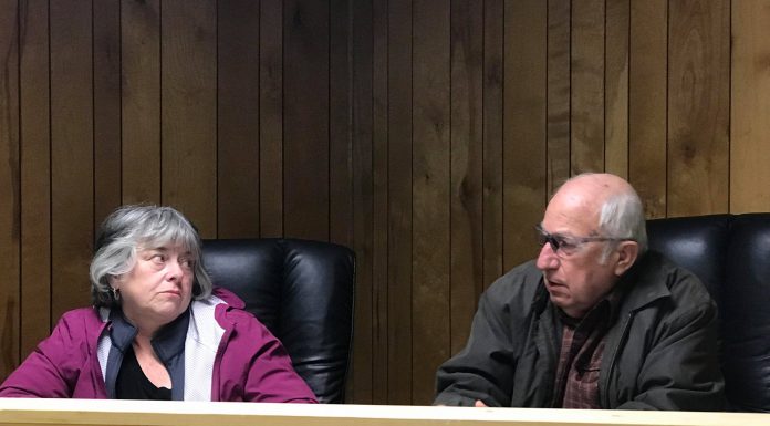 Town of Vinemont declares state of emergency in wake of potential hazardous flooding