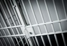 Arrests and incidents reported on Feb. 19, 2019