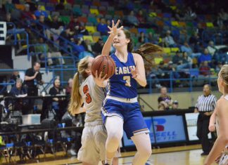 PREP BASKETBALL: Cold Springs defeats Red Bay 54-36 in Northwest Regional title game to advance to state Final 4