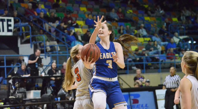 PREP BASKETBALL: Cold Springs defeats Red Bay 54-36 in Northwest Regional title game to advance to state Final 4