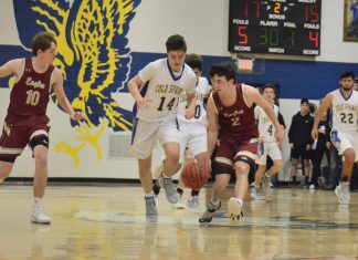PREP BASKETBALL: Cold Springs’ postseason run ends with 55-49 loss to Sumiton Christian; sub-regionals wrap-up