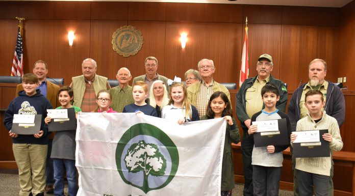 Cullman celebrates 31 years as ‘Tree City USA’; poster winners recognized