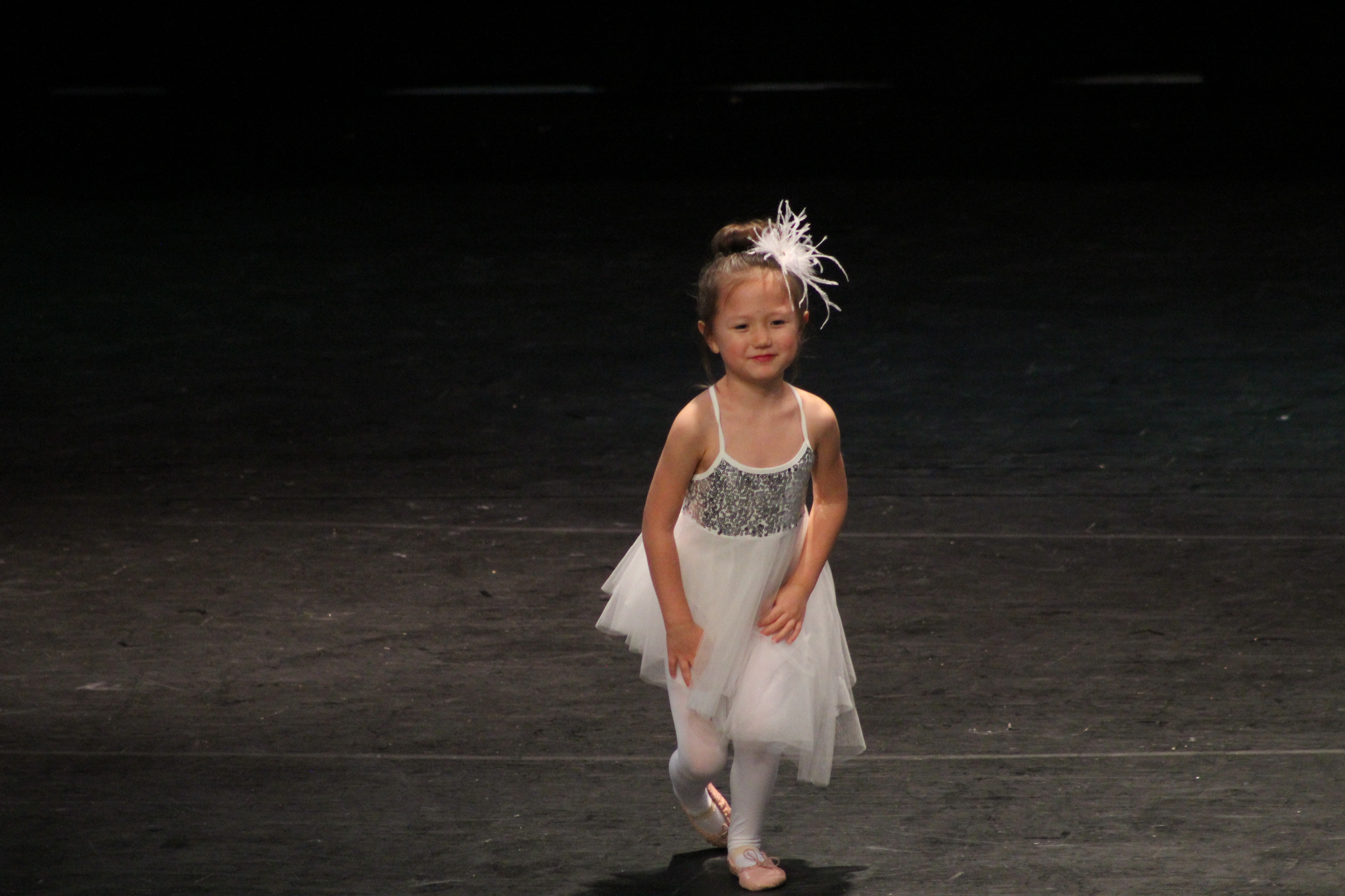 For Kids’ Sake dazzles with more than 80 performers