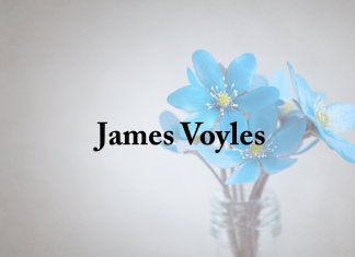 Obituary: James Voyles james_voyles.png
